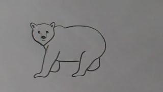 Как нарисовать медведя, рисунки карандашом, Pencil drawings, BEAR, art drawings