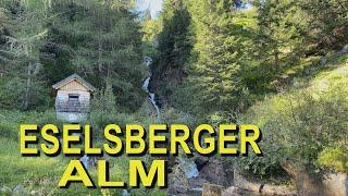 Eselsberger Alm