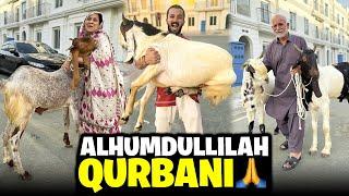 Qurbani k Janwar ghar aa gyeSurprise for MAA G..