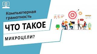 Значение слова микроцели. Что такое микроцели.