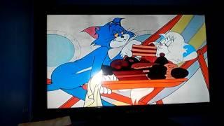 Tom and Jerry Fandubs (Calypso Cat)