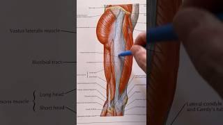 Exercises for IT Band Syndrome