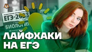 Лайфхаки для подготовки к ЕГЭ | Биология ЕГЭ 2023 | Умскул