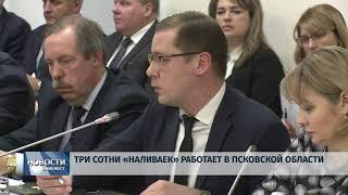 Новости Псков 21.01.2020 / Три сотни «Наливаек» работает в Псковской области