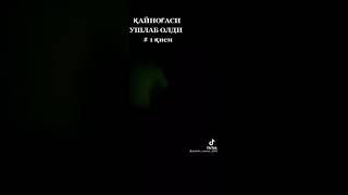 запал эрига Хийёнат килди ушлаб олди срочно новости