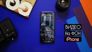 Как поставить ВИДЕО на экран блокировки iPhone | живые ОБОИ на АЙФОН #1