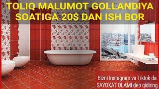 Gollandiyada 20$ lik ish haqida toʻliq malumot