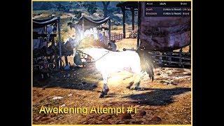 Tier 9 Dream Horse 1st Awakening Attempt - Black Desert