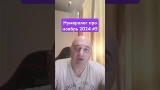 Нумеролог про ноябрь 2024 #5 #нумерология #нумерологическийразбор