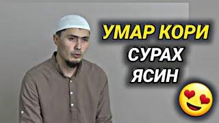 Умар Кори Ош Ясин Сураси