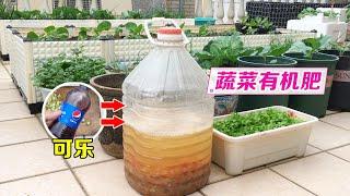 在家种菜，试试这种有机液肥，活化土壤有益菌，种菜效果好！｜Making organic fertilizer