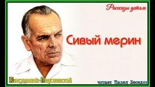 Константин  Паустовский  Сивый мерин   читает Павел Беседин