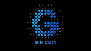 WHAT IS GIN BLOCKCHAIN?