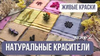 Окрашивание тканей натуральными красителями| Красим ткани растениями | Эко-крашение