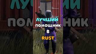 ЛУЧШИЙ ПОМОЩНИК ДЛЯ ВАШЕГО ВЫЖИВАНИЯ В RUST/РАСТ. #shorts #rustnews #rust #раст #rust2