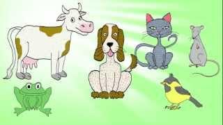 "Animal Waltz" - a folk song to teach kids to count from 1 to 5 -  Little Blue Globe Band