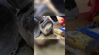 Transmission Teardown: The INSANE Secrets Hidden Inside!