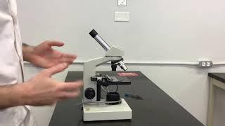 Utilisation du microscope optique