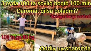 100 dona sovliq boqib 3 oyda 100 mln daromat qilish sirlari ochildi #qoy #boqish #sirlari