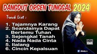 ALBUM ORGEN TUNGGAL 2024 || COVER ALEDA N