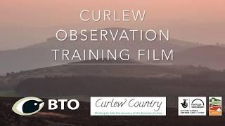 Curlew Observation Training Film