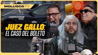 Juez Gallo: "La policia va a pagar los $500"/Pavas en PR/ Caso Estatua de Trump/ Fuego a Ceky Viciny