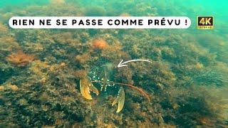 Course poursuite avec deux homards lors d'une pêche en apnée ! Chasse sous marine Bretagne sud