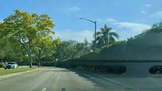 Jacaranda, Central park, Sunrise, Florida. December 12, 2024