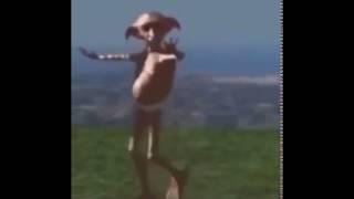 Fap tribute 2 (clip)