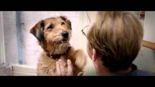 Dennis the talking dog (Robin Williams) - Absolutely Anything