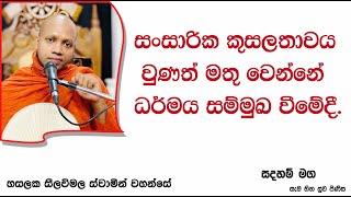 සංසාරික කුසලතාවය වුණත් මතු වෙන්නේ ධර්මය සම්මුඛ වීමේදී.2441Ven Hasalaka Seelawimala Thero