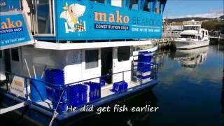 Constitution Dock Hobart, Hobart waterfront, seals, Mures, fish punts Hobart harbour