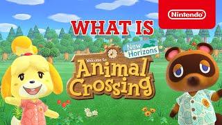 What is Animal Crossing: New Horizons? (Nintendo Switch)