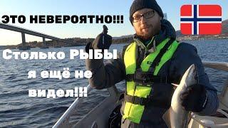 ЭТО НЕВЕРОЯТНО!!!! РЫБА ЗАПРЫГИВАЕТ В ЛОДКУ!!! СУПЕР РЫБАЛКА! Рыбалка в Норвегии! Лучшая Рыбалка!