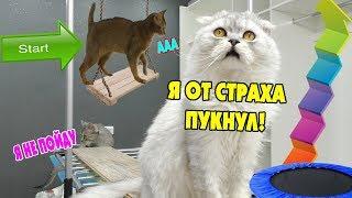 ОПАСНАЯ ПОЛОСА ПРЕПЯТСТВИЙ ДЛЯ КОТОВ ИЗ МЕБЕЛИ! КЕВИНУ СТРАШНО!