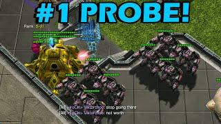 Killing the Best Probe in the World! Probes vs Zealots