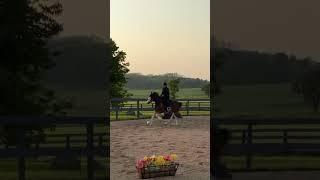 6 strides, and 5!