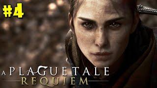 #4 A PLAGUE TALE: REQUIEM Прохождение - АРНО