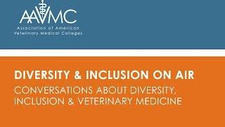 Diversity and Inclusion on Air  Holistic Admissions Pt  1