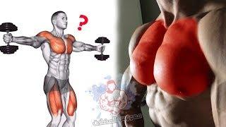 تمارين الصدرً  وستهداف جميع مناطق الضعيفة كمال الاجسام - Chest Workout