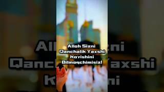 Alloh Sizni Qanchalik Yaxshi Koʻradi?#ibratli #hidoyat #alloh #islamic #shorts