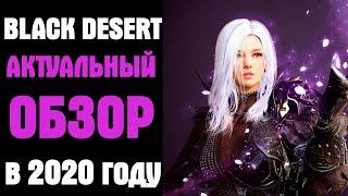 Black Desert в 2020 году! Актуальный обзор! Новые ивенты!