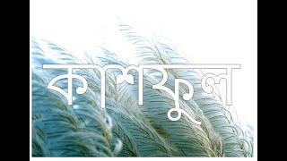 Kashful I কাশফুল