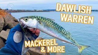 Mackerel & More - Dawlish Warren Lure Fishing