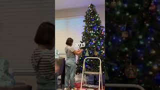 2023 Gonz Tree Setup