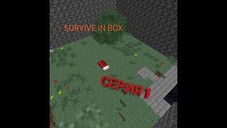 Survive in box серия 1.