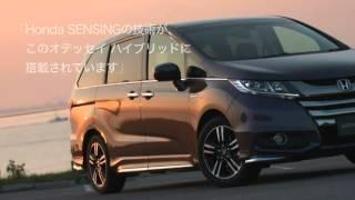 Newest Honda Odyssey Hybrid Official Japan Trailer | AutoMania