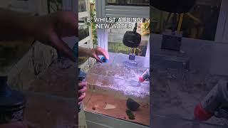 when would you add water conditioner? #aquariumhobby #aquarium #fishkeeping