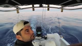 Wicked. Tuna ala Cyprus II Albacore Fishing With Captain Doros 06.06.20