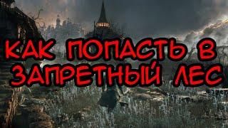 Как попасть в Запретный Лес Bloodborne